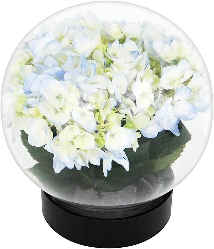 Achla Designs Glass Flower Aquarium, Globe Vase