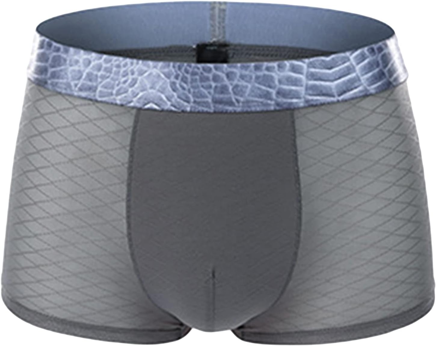 Mens Mesh Shorts See Through Boxer Briefs Breathable Active Boxers Underwear Sexy Sheer Bulge Pouch Lingerie
