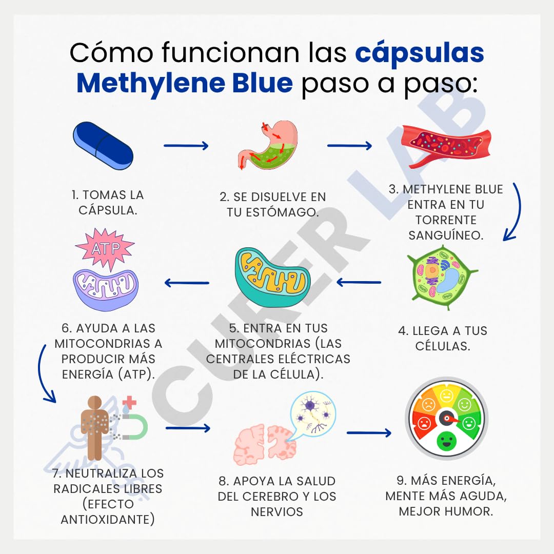 Methylene Blue USP Grade 20 mg | 60 Cápsulas | Pureza Ultraalta | Calidad Farmacéutica 99,99 % – Testado por Terceros | Libre de Formaldehído | Con Vitamina C | Fabricado en Europa