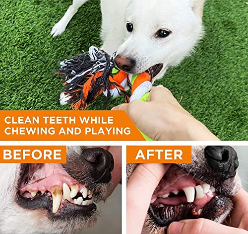 Image of Foodie Puppies Durable Pet Teething, Cleaning, Chewing, Biting Knotted Rope Toys for Dogs | Durable Dog Training Toy for Medium Dogs with 100% Natural Cotton (Handle Knotted Ball)