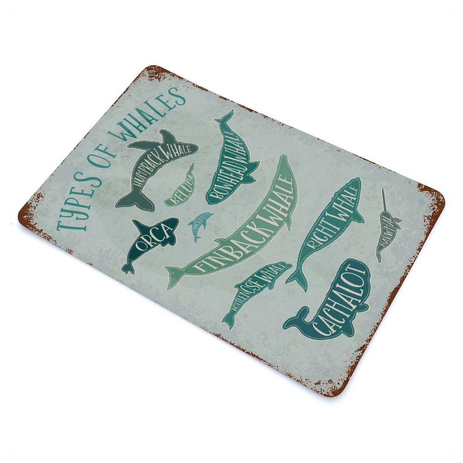 Weathered Tin Sign with Vintage Whale Species Design 11.8"x7.9", for Shed, Workshop And Garage Wall Decor, Decorative Metal Wall Art