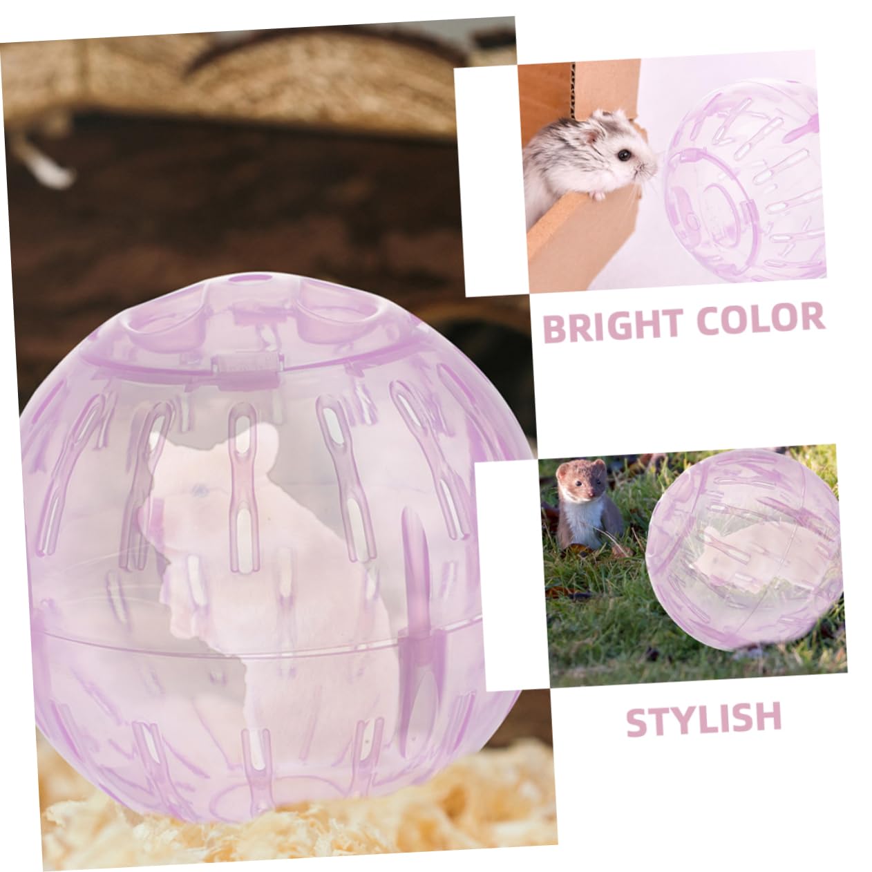 BESPORTBLE 3Pcs Hamster Exercise Ball Compact Transparent Running Ball for Dwarf Hamsters Easy to Safe Material Keeps Pets Fit and Relieves Boredom Pet Supply
