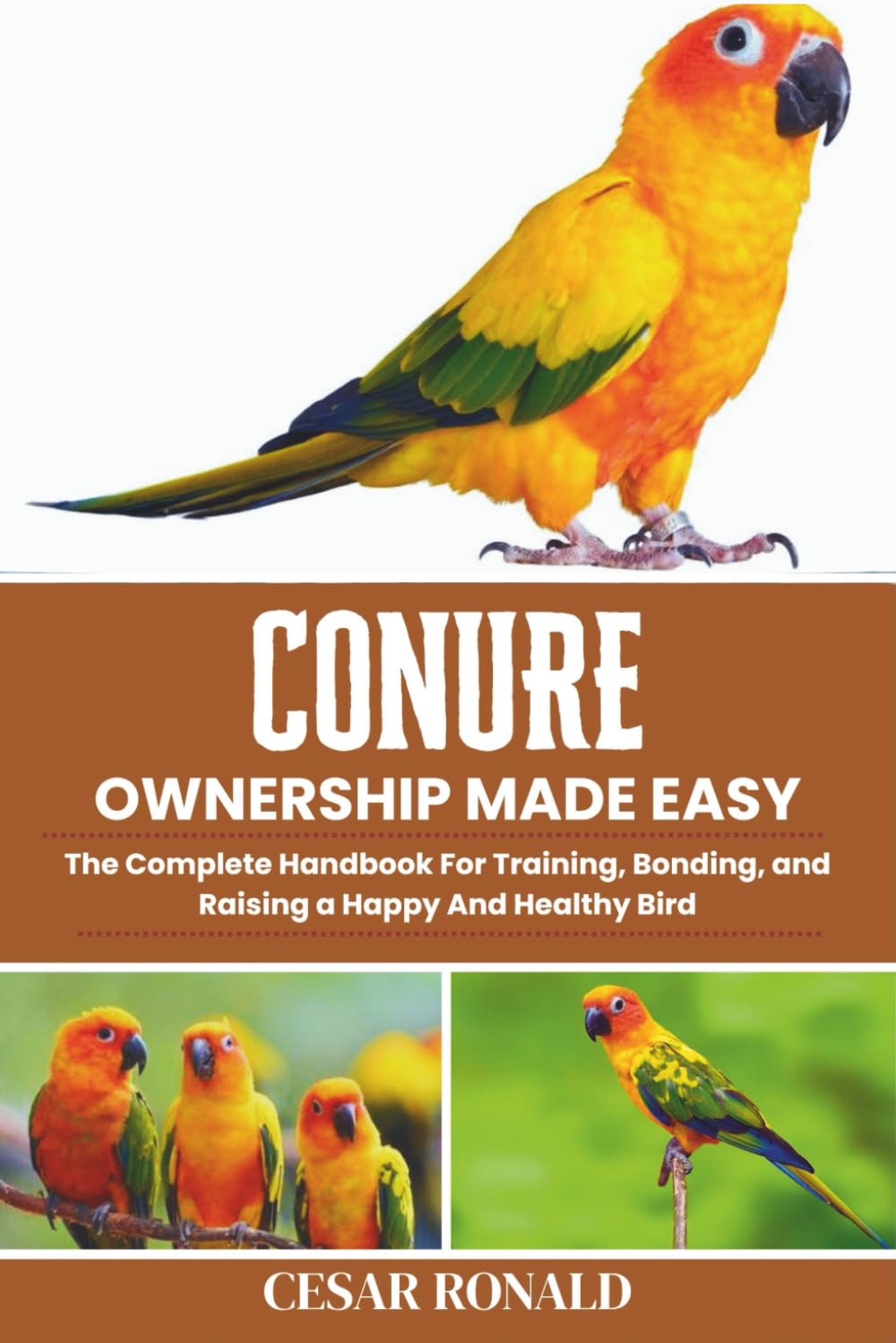 Conure Ownership Made Easy: The Complete Handbook For Training, Bonding, and Raising a Happy And Healthy Bird (The Bird Encyclopedia Collection)
