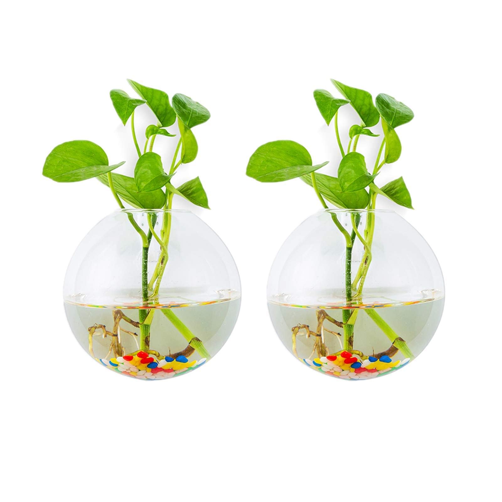 Elegant Spherical Glass Wall Hanging Planters Clear Terrarium Vase Set 2 Pcs