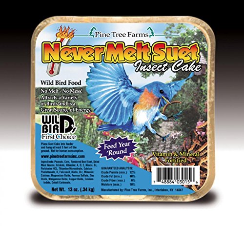 Never Melt Suet