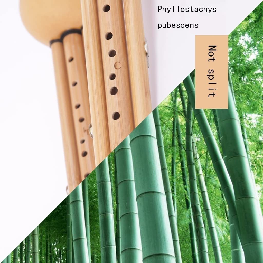 Flautas de Cucurbit Instrumento Musical Hulusi Profesional Principiante Que Toca La Flauta De Cucurbitáceas De Bambú Púrpura Flauta De Cuerda Especial para Estudiantes Flauta De Bambú China