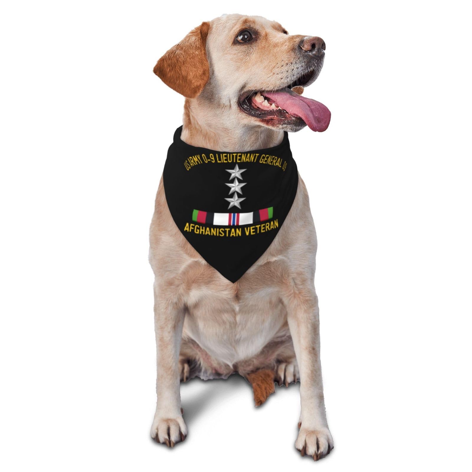 US Army O-9 Lieutenant General O9 Afghanistan Veteran Dog Scarf Pet Bandana Cat Pet Bibs