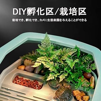 カメさん☆ページ KameManNen カメマンネン / KMN 113 / TS シルバー / メガネ