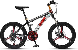 LLF 20 Inch Mountain Bike, Double Disc Brakes 24 Speeds Disc-Brake MTB Bicycle Cycling Urban Commuter City Bicycle 2 Colors(Size:20inch,Color:Black)