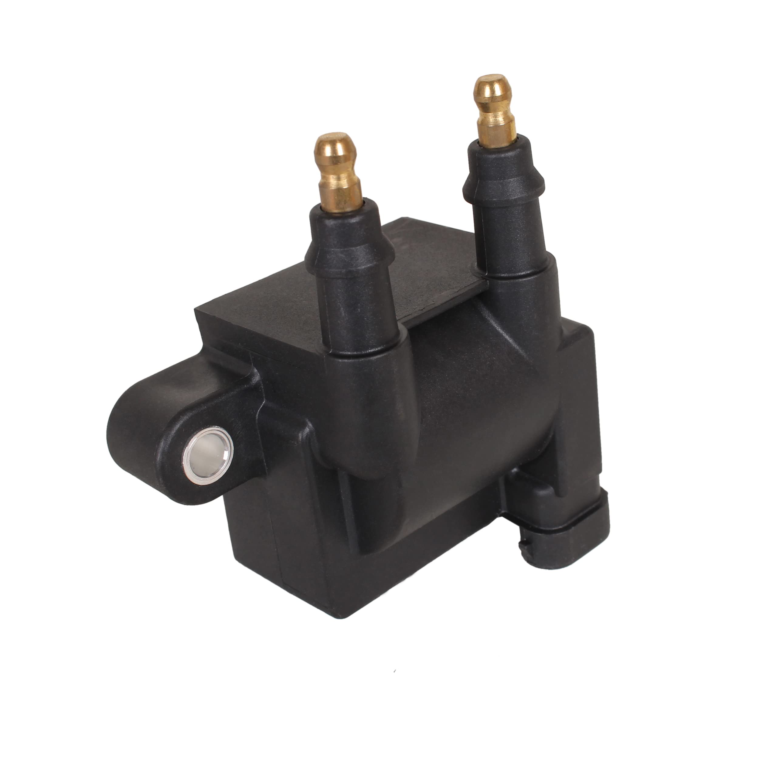 Amazon.com: Boat Motor 8M0029482 8M0044991 300-8M0044991 Ignition 