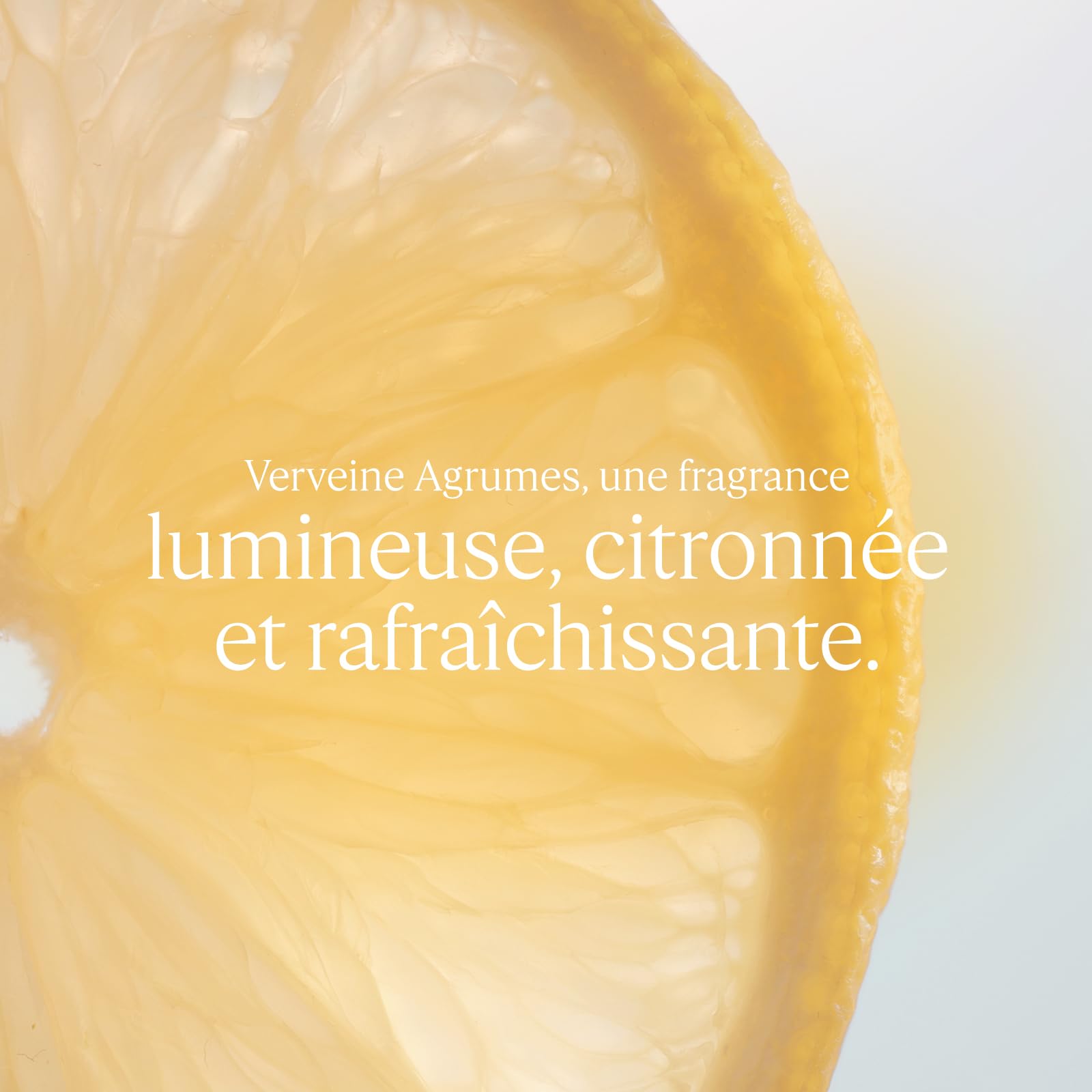 L'OCCITANE - Eau de Toilette Verveine Agrumes - 100 ml - Notes fruitées et pétillantes - Fabriqué en France
