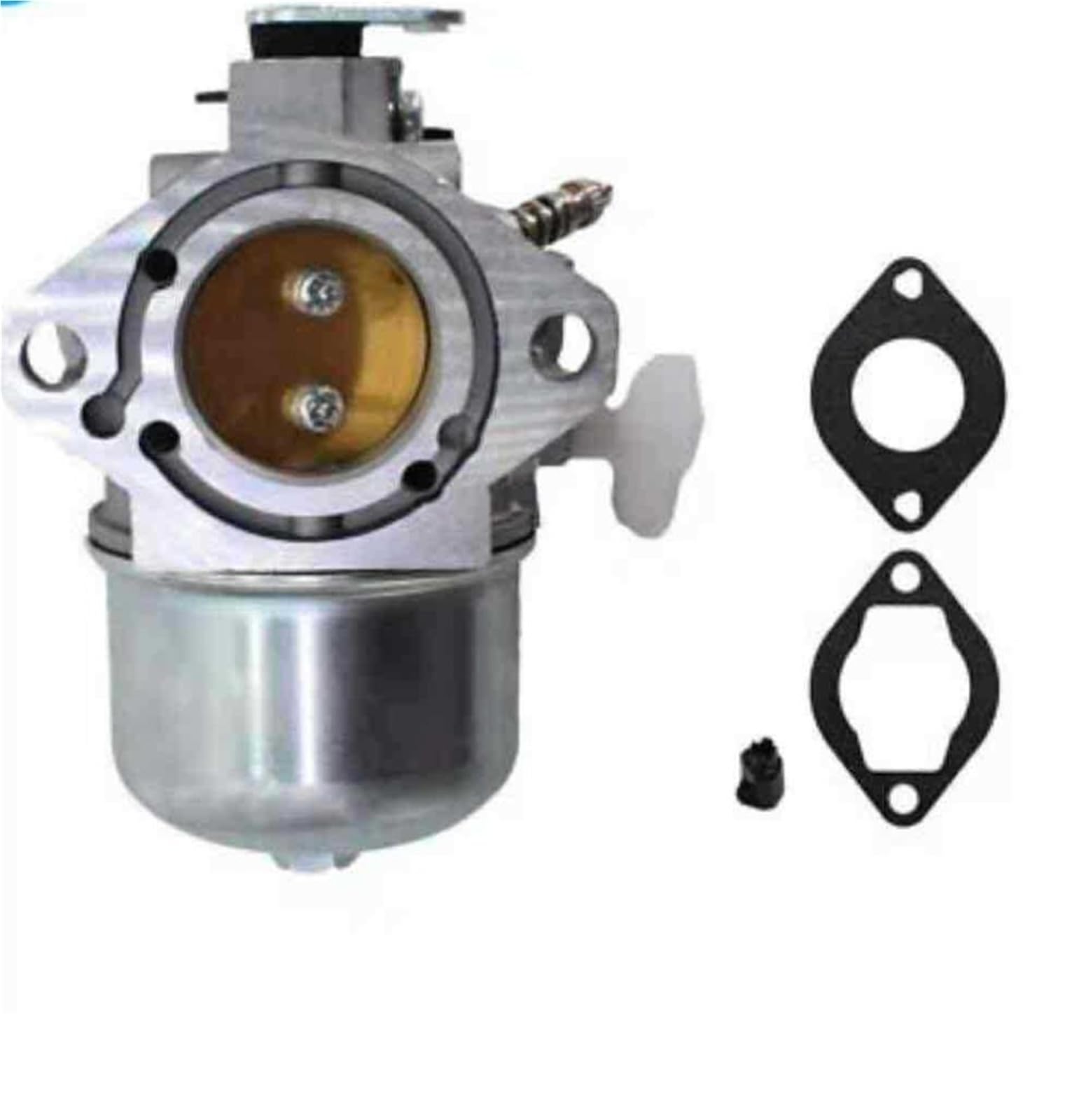 Carburateur pour Briggs for Stratton 699831 283702 pour moteur de tondeuse à gazon