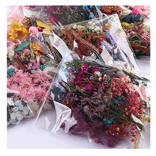 1 bolsa flores secas mezcla real para manualidades miniatura 2