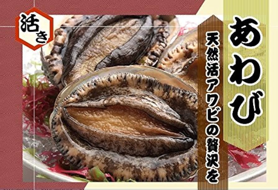 国産天然アワビのディストーション 61wrHzkwMfL._UF894,1000_QL80_.jpg