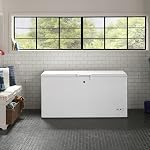 GE 15.7 Cu. Ft. manuel dégivrage poitrine congélateur blanc - FCM16SLWW