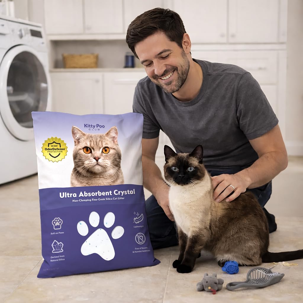Fine-Grain Silica Cat Litter – Ultra Absorbent Crystal Litter for Cats, Low Dust, Long-Lasting Odor Control, Fast Drying, Lightweight Bag