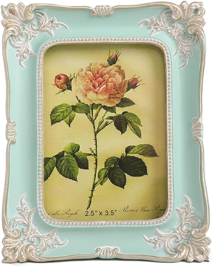VINLIFE Vintage Frames 2.5 x 3.5 Picture Frames Mini Picture Frame Set Ornate Frame