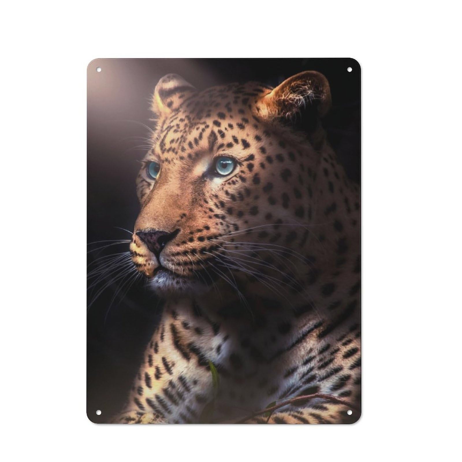 Junmoney Dak Jaguar Garage Style Metal Wall Sign 40X30cm Featuring Garage Wall Decor For Garage, Hobby Room, Office Or Man Cave