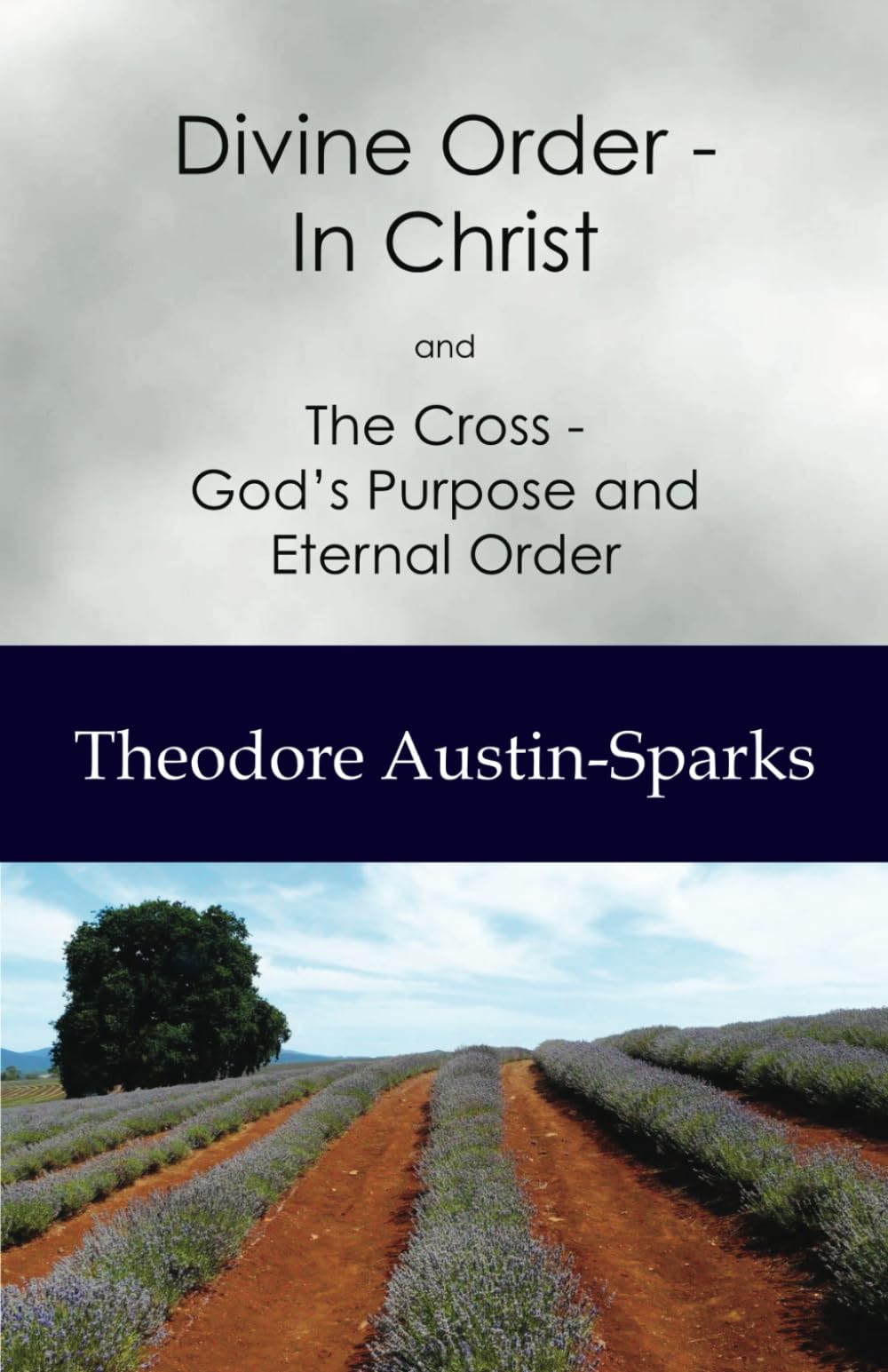 Divine Order - In Christ: and The Cross - God’s Purpose and Eternal Order