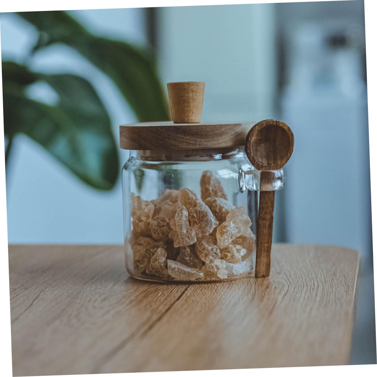 Hohopeti Salzbehälter mit Holzdeckel und Löffel 3 Stück Luftdichte Gewürzbehälter aus Glas 850ml/550ml/400ml Praktisches Design für Küche für Familiengebrauch