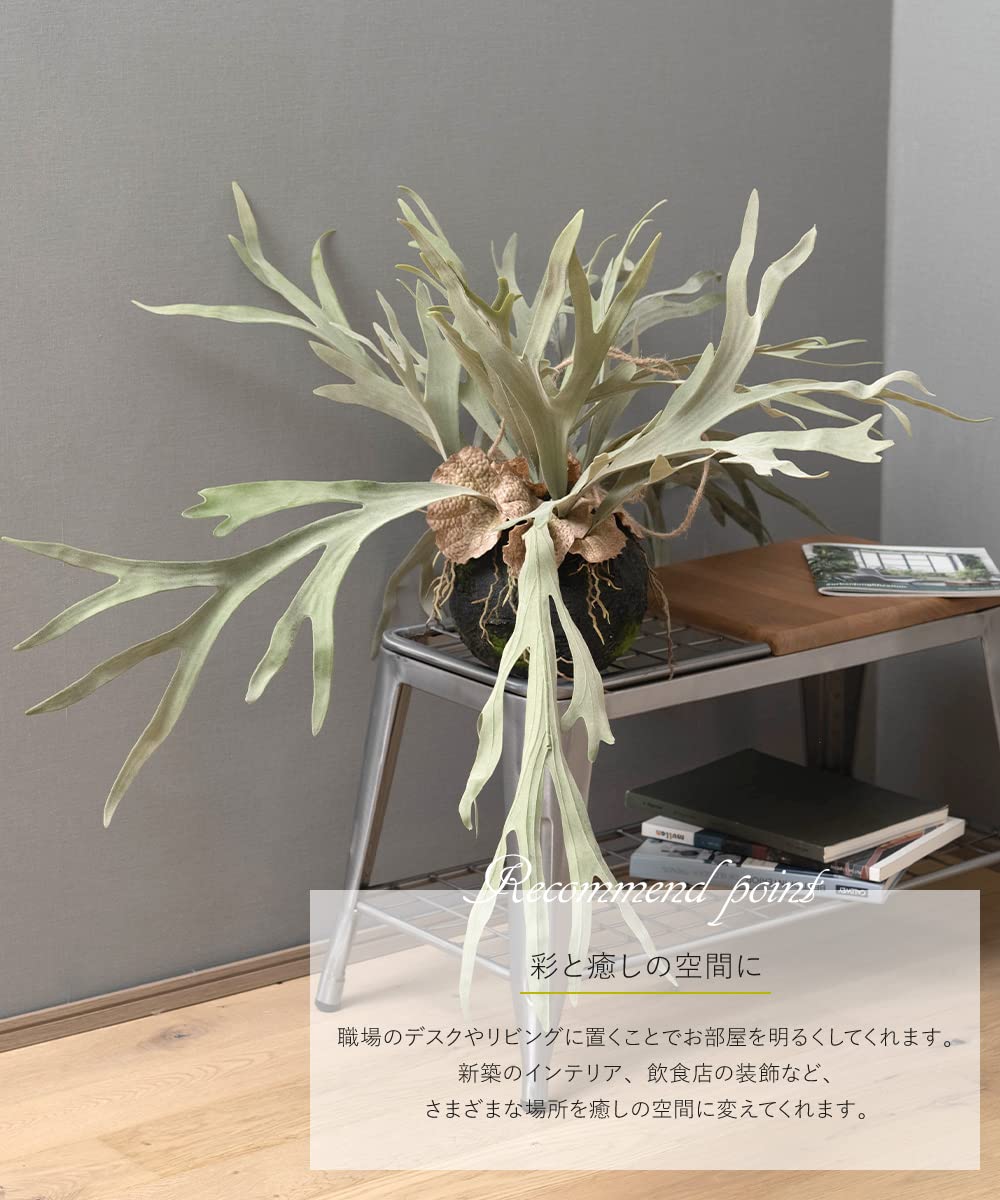 フェイクグリーン 特大　壁掛け ハンギングプランツ コウモリランL 人工造花 Amazon｜フェイクグリーン 人工 観葉植物 観葉樹 おしゃれ ハンギング