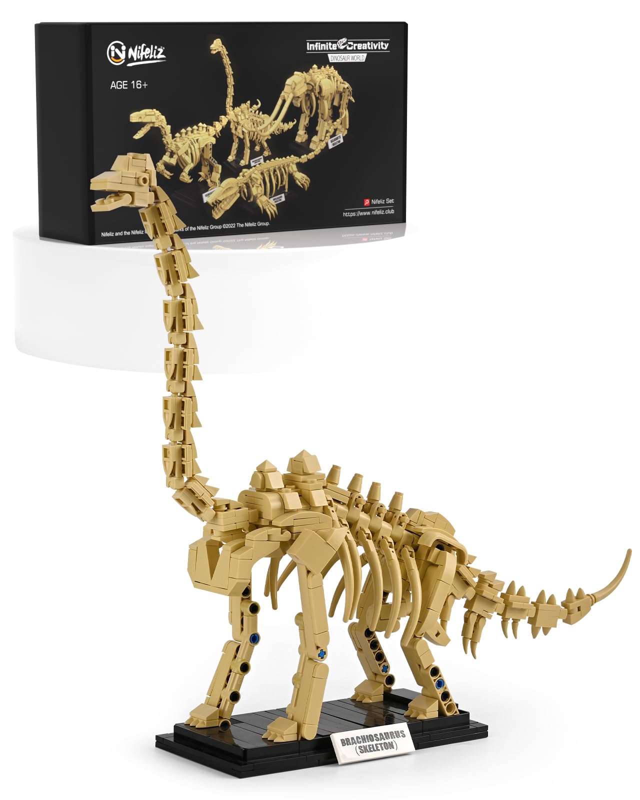 ほぼ未使用品　希少完売エルドレッソ eldoreso BONE dinosaur ほぼ未使用品 希少完売エルドレッソ eldoreso BONE dinosaur
