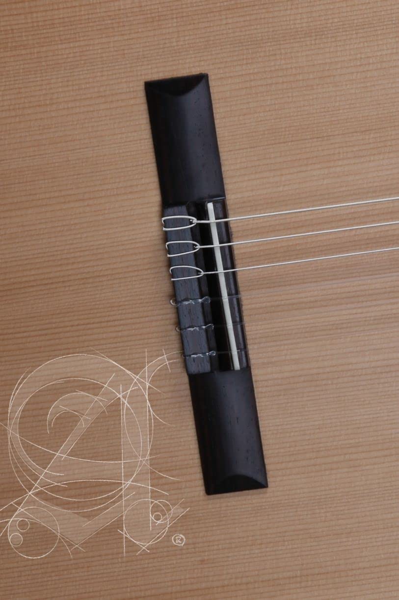 Alhambra, Z-Nature, chitarra classica spagnola + custodia
