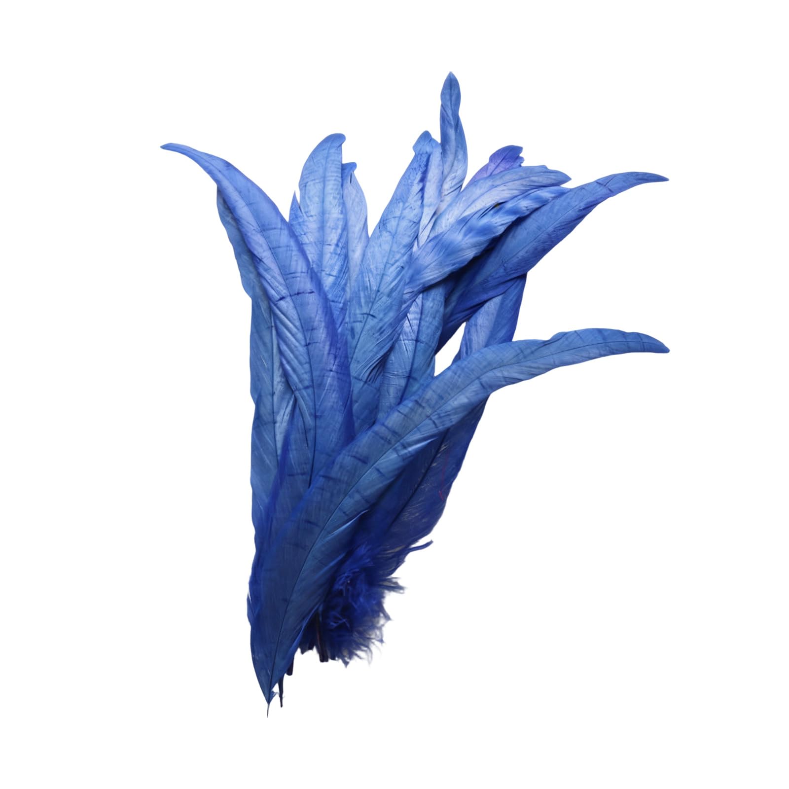 NRVTRE 40Pcs Decorative Plumage 25 30Cm for Professional Costume Making and Art Quills for Crafting