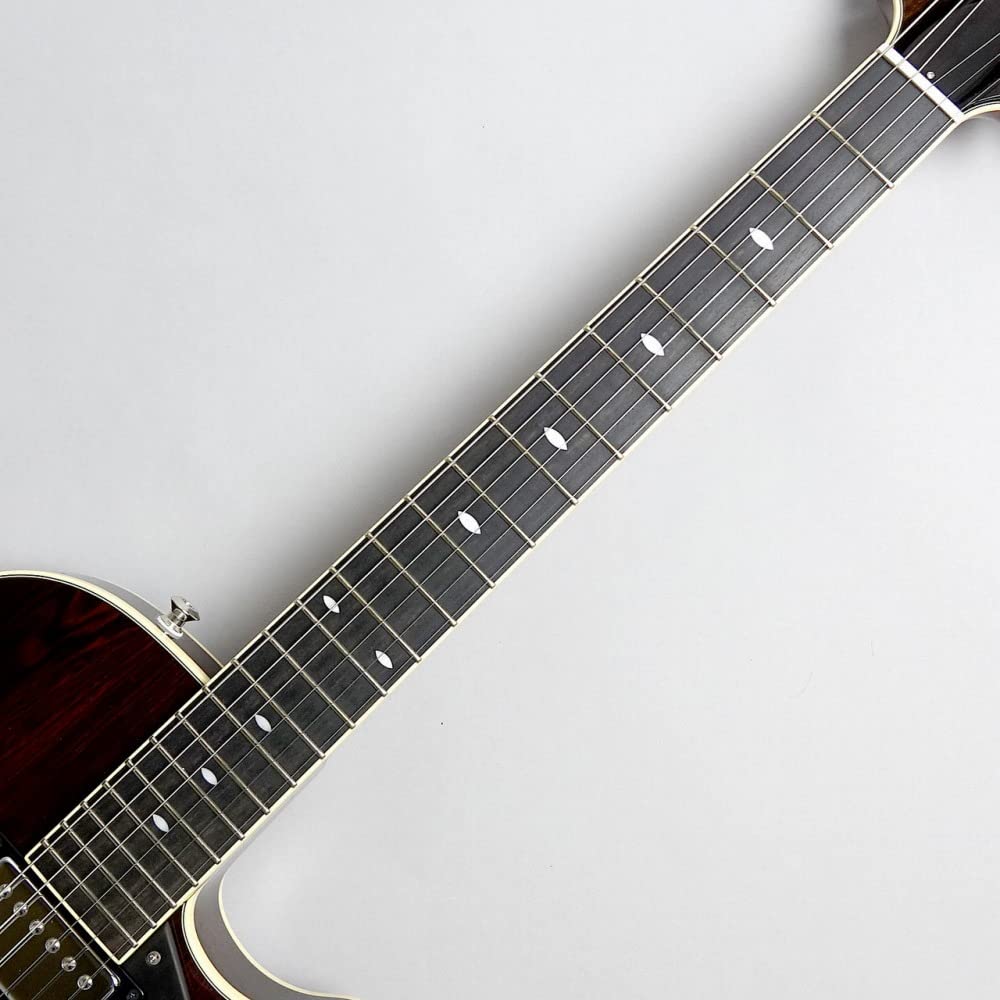 Amazon | Sadowsky Semi Hollow Model Brazilian Rosewood