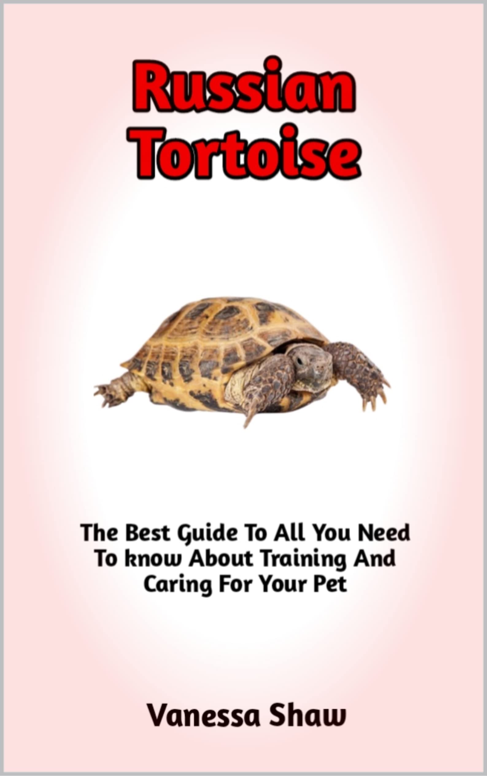 Listcrawler Bronx: The Most Comprehensive Guide Online - 9gwory3