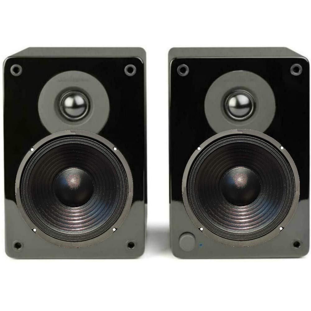 MASTER AUDIO 1 WOOFER CW1001/8 altoparlante diffusore da 25,00 cm 250 mm 10" diametro da 220 watt rms 440 watt max 8 ohm per casa 90 db spl, 1 pezzo