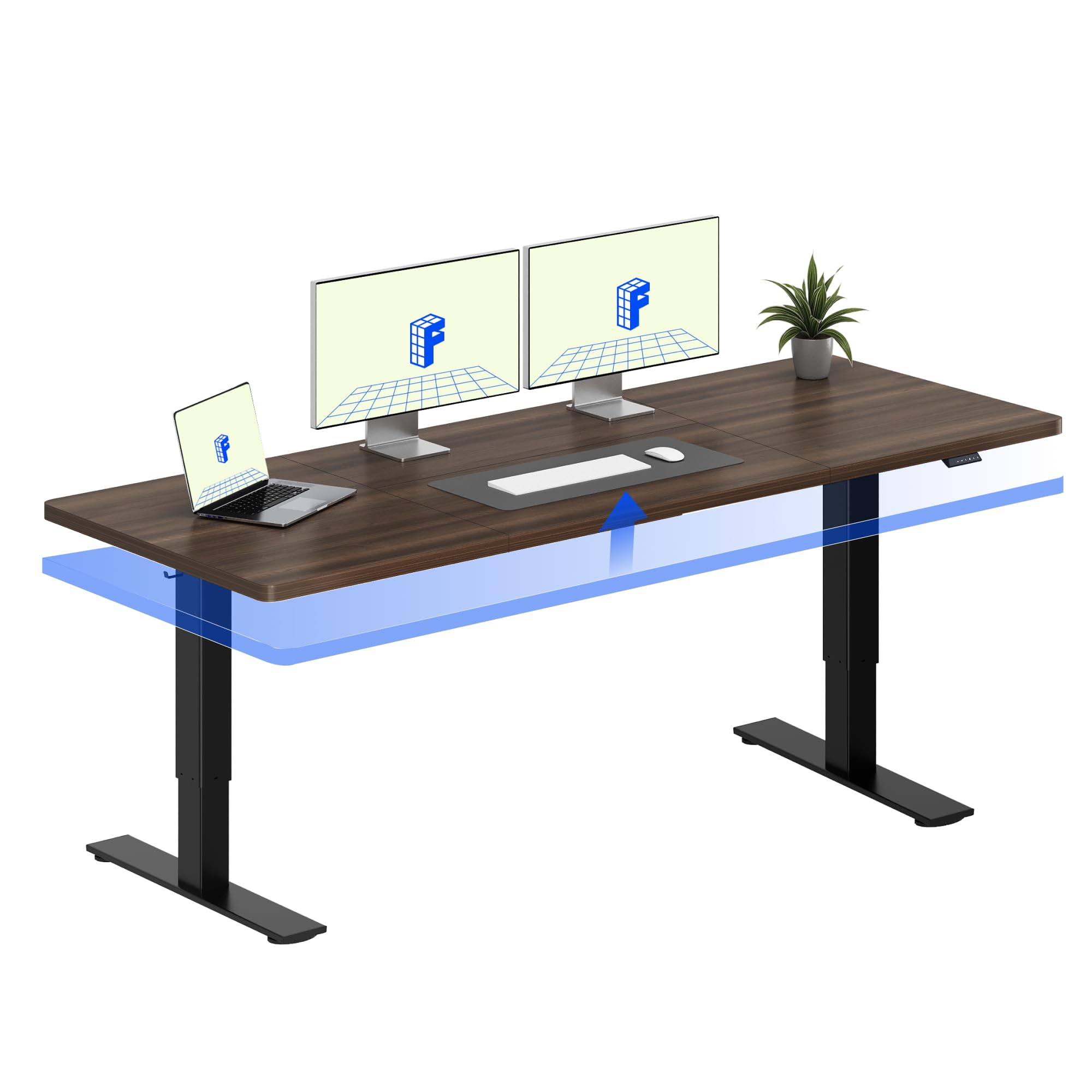 FLEXISPOT 79x32 Office Standing Desk