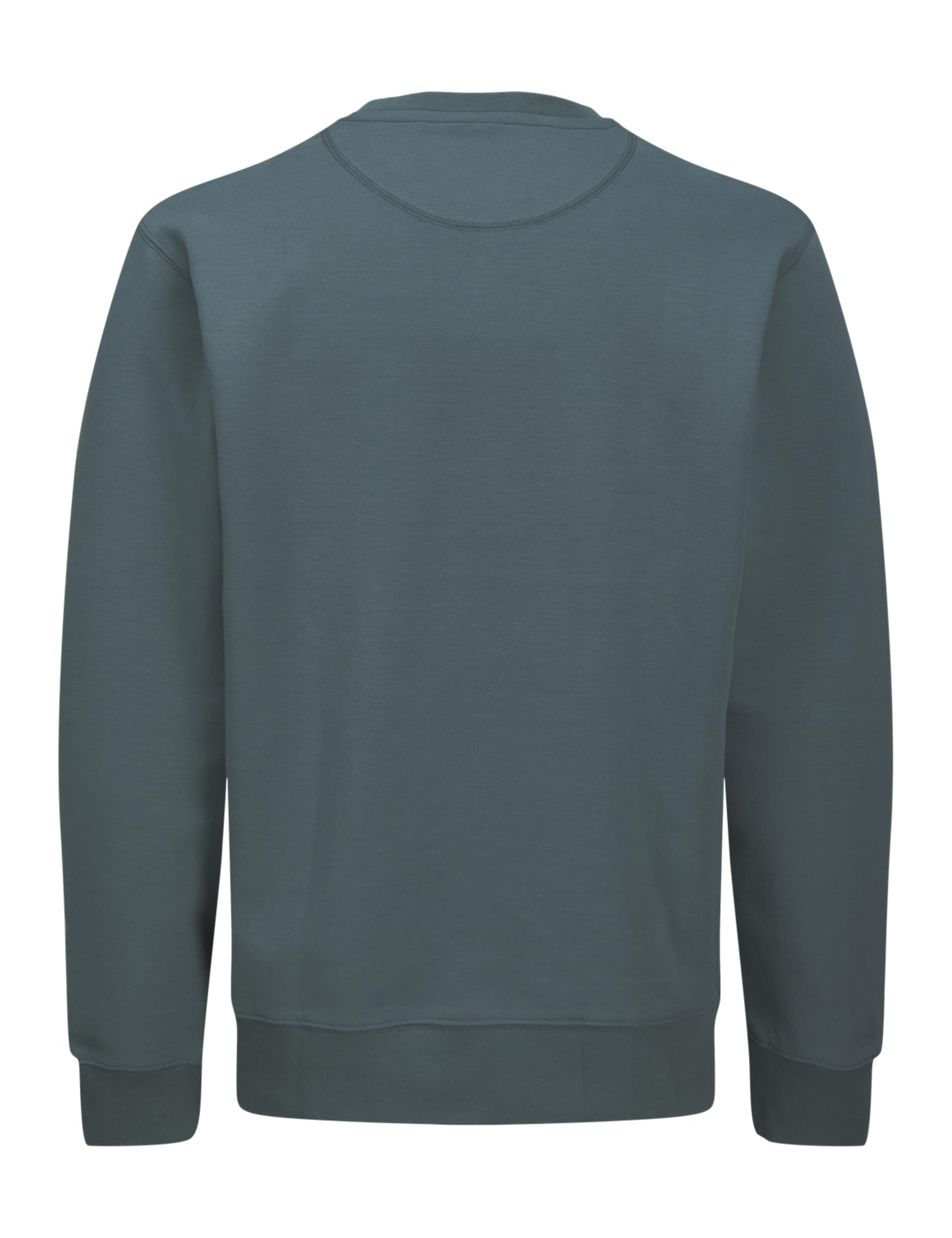 JACK & JONES Male Sweatshirt RDD Gedruckt Sweatshirt