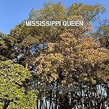  MISSISSIPPI QUEEN