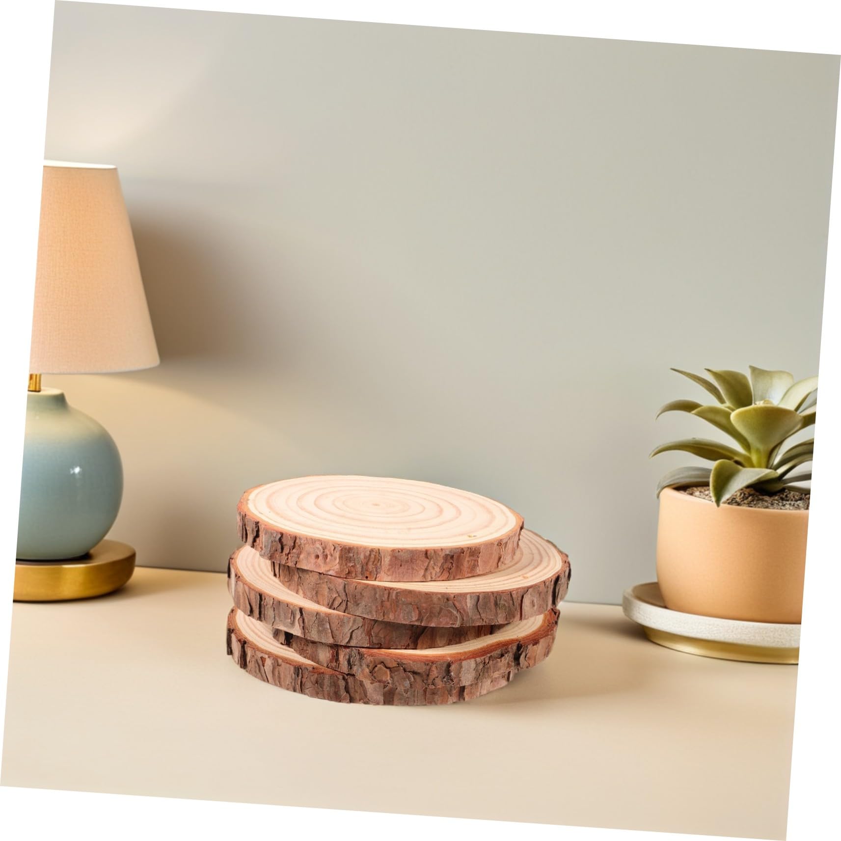 Veemoon 5 Stück Teiliges Runde Holzscheiben Ø Naturbelassen mit Rinde Stabile Kiefern holzscheiben für DIY Basteln Malen Tischdeko Untersetzer Vielseitig für Hochzeit und Wohnaccessoires