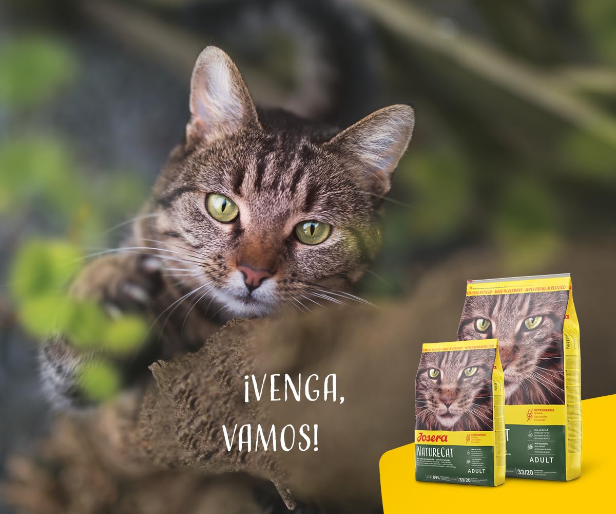 JOSERA NatureCat (1 x 10 kg) | Adultos | Pienso seco de Primera Calidad para Gatos Adultos | Salmón y Aves | Hierbas selectas y Frutas saludables | Sin Cereales | Comida para Gatos | Pack 1