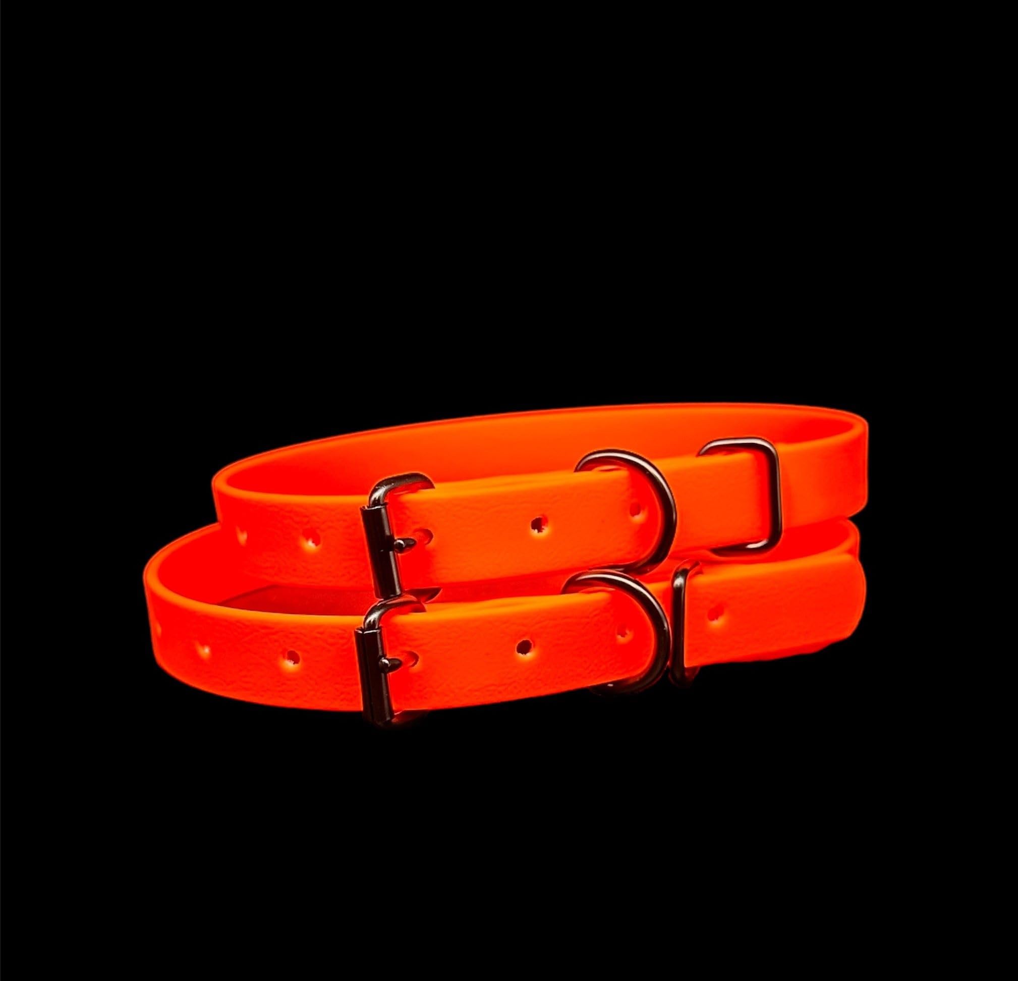 View 2