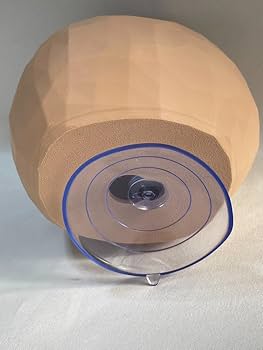 Amazon.co.jp: ペット 爬虫類 両生類 丸 ドーム型 シェルター ハウス