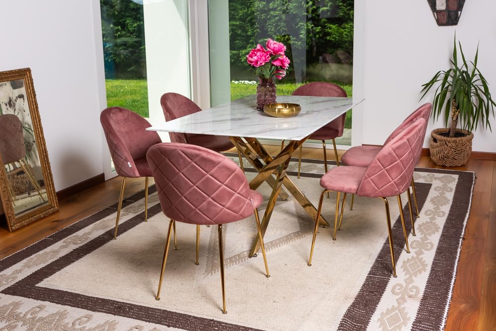 SIEDITI FUORI E DENTRO Set di 2 sedie poltroncine Sara imbottite in velluto o teddy per cucina o sala da pranzo con gambe in metallo (Velluto Rosa Blush, Gambe Oro)