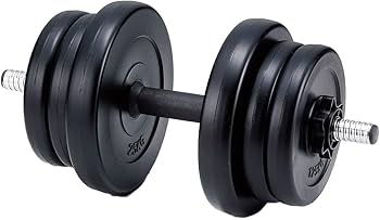 10kgダンベル 楽天市場】【業務用】ダンベル DUMBBELL 10個 5ペアセット 42kg
