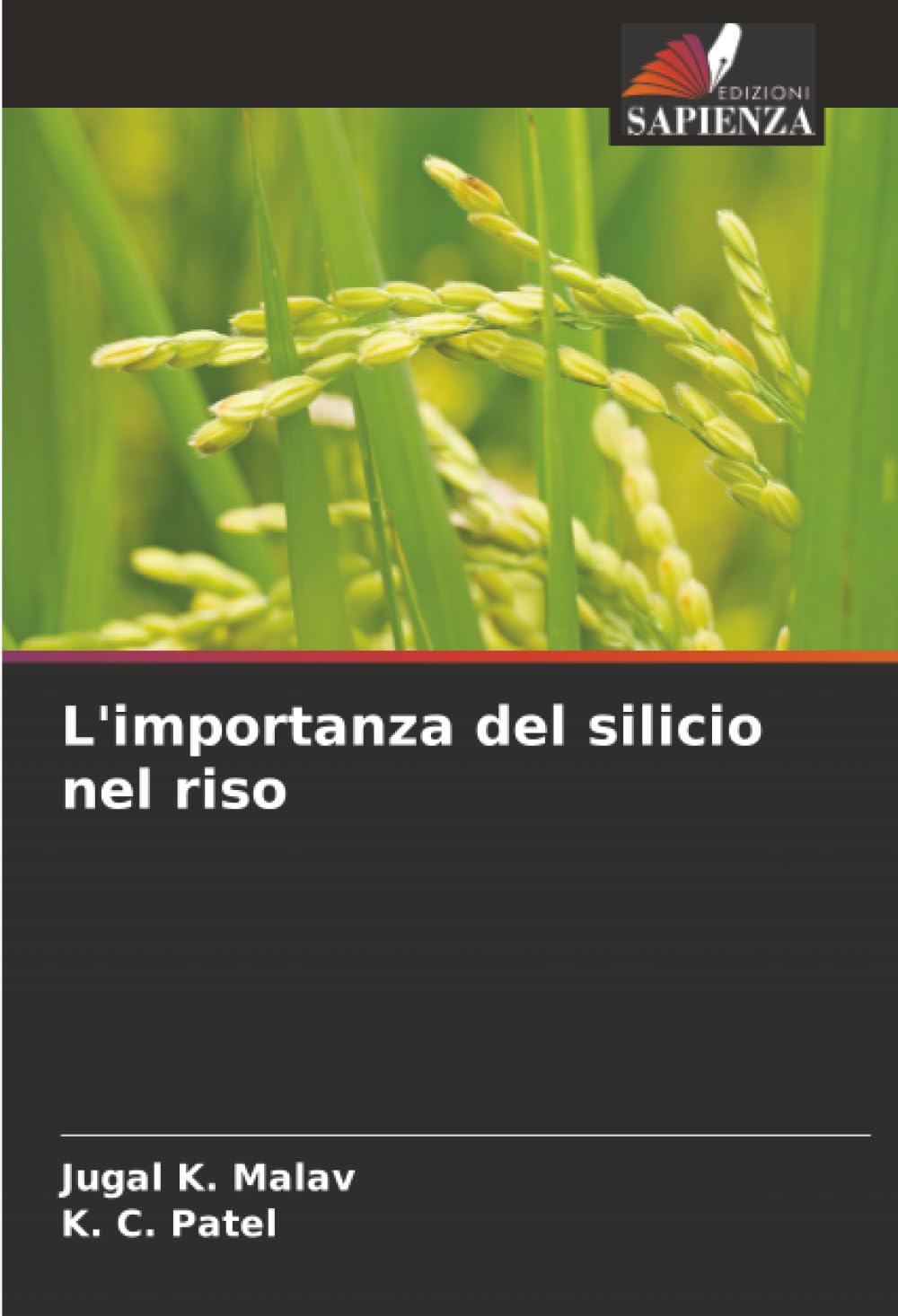L'importanza del silicio nel riso
