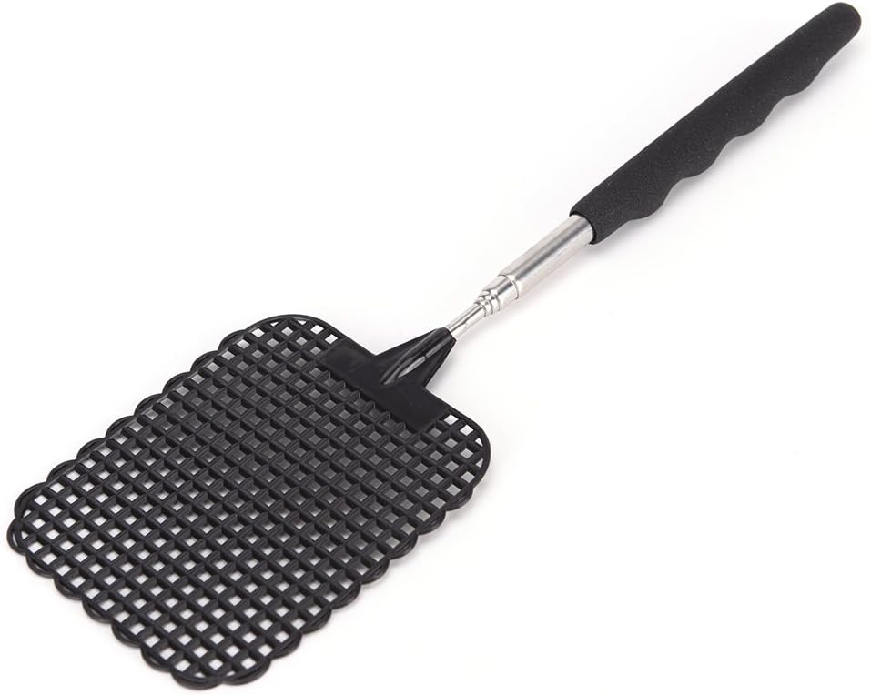 Amazon.com: CoscosX 1 Pcs Retractable Rod Fly Swatter Set Indoor and ...