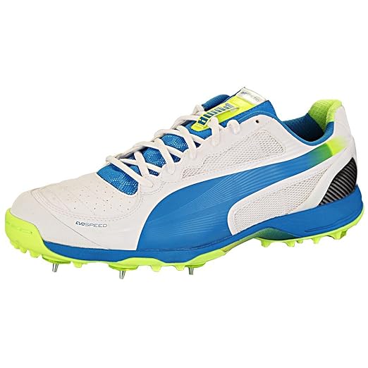 puma evospeed cricket shoes 2014