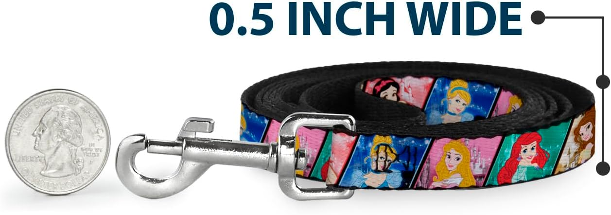 Buckle-Down Dog Leash Disney Princess Poses Castle Blocks 6 Feet Long 1.0 Inch Wide, Multicolor (DL-6FT-WDY270)