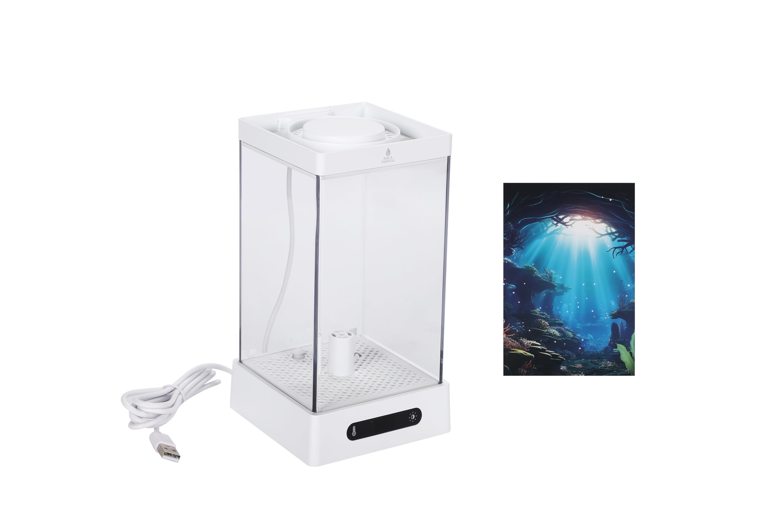 ベタ専用水槽 スマートタンク ヒーター LED内蔵 温度調節 Amazon | [Luvian]小型ベタ水槽 1.6L 水槽 ヒーター付き ベタ飼育