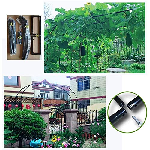 Treillis de pergola pour arc de rose créant un passage ombragé unique - 8