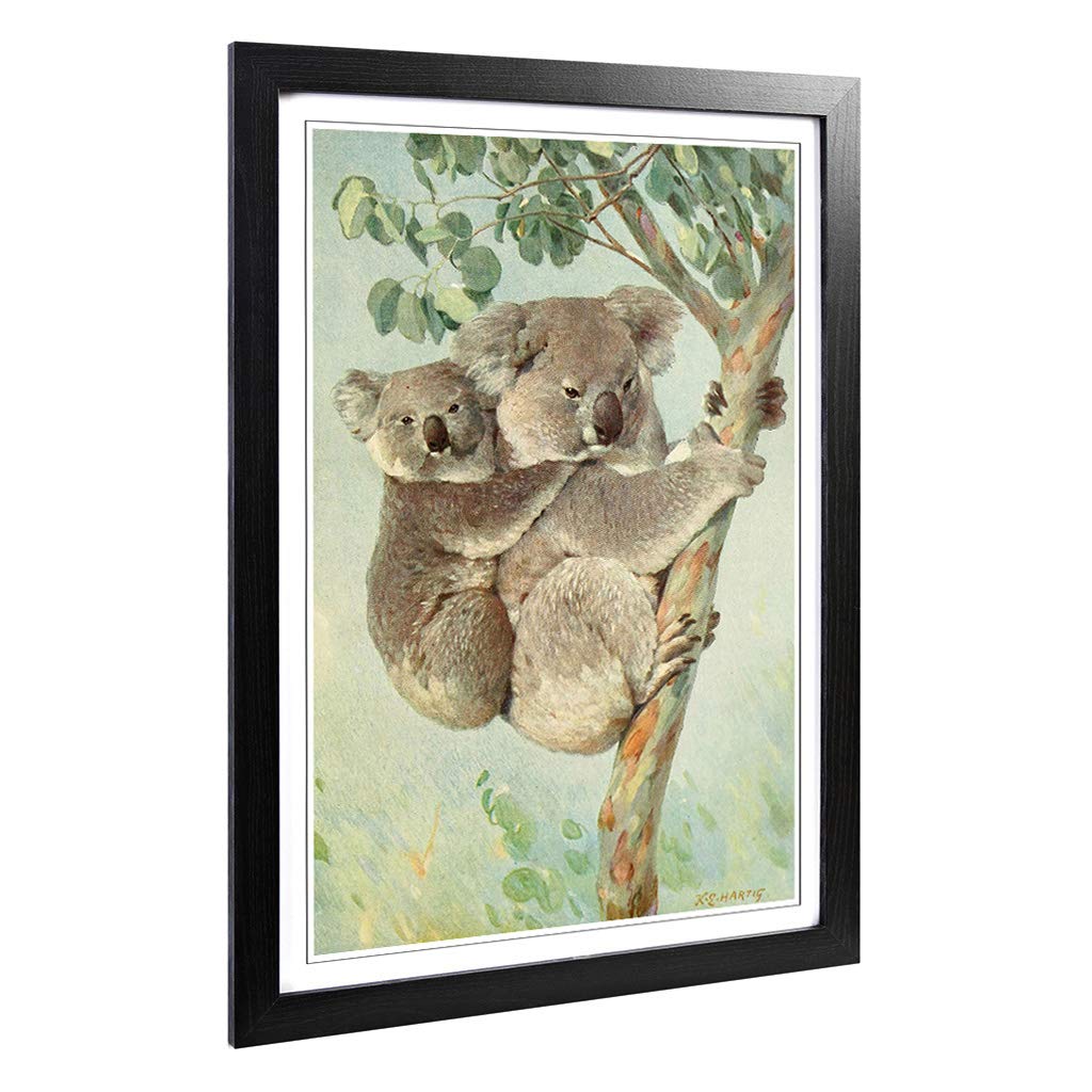 Big Box Art Framed Print of Vintage Karl Ludwig Hartig Koala Design | Wall Art Picture | Home Decor for Kitchen, Living Room, Bedroom, Hallway, Black, A2 / 24.5x18 Inch / 62x45cm