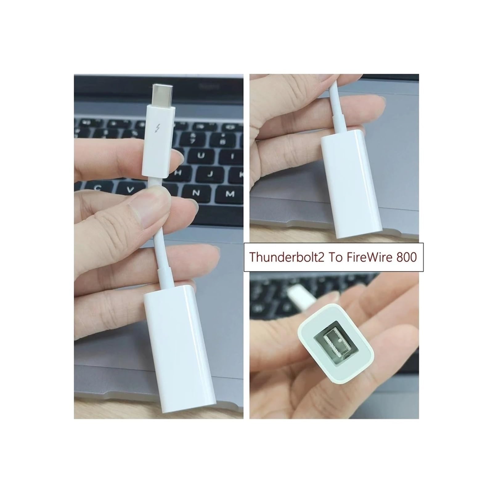 Adaptateur Thunderbolt 2 vers FireWire 800 RJ45 9 Broches, Carte Fire 1394B pour Mac