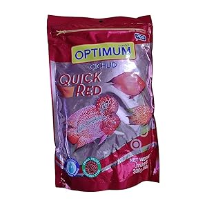 TED TABBIES Optimum All Life Stages Cichlid Quick Red Pellet Fish Food, 300 g