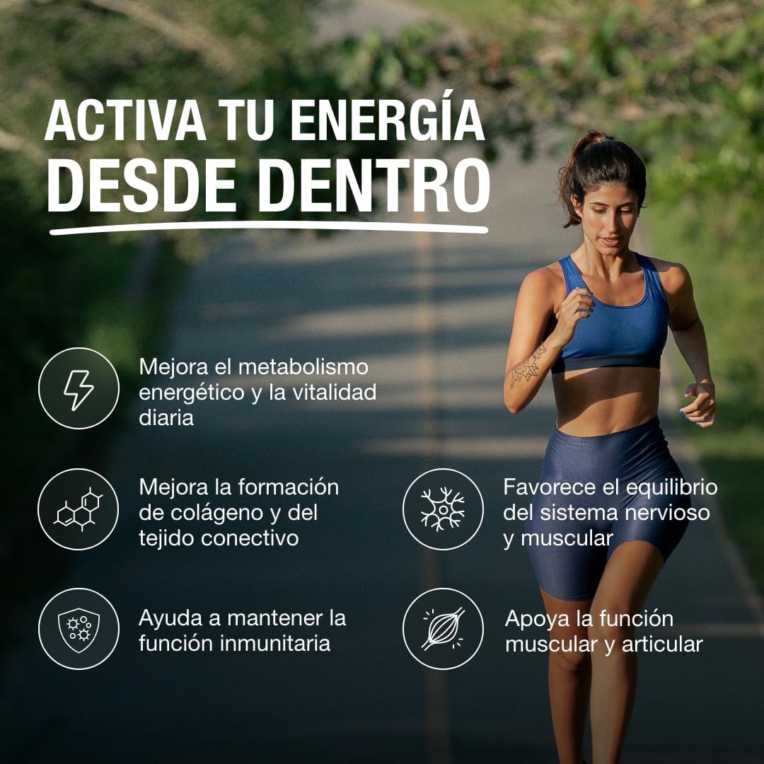 Magnesio Triple – Citrato de magnesio, Bisglicinato y Malato | 442 mg de magnesio elemental por dosis + Vitaminas B1, B5, B6 y C | Antifatiga, Calambres y Recuperación Muscular | 150 cápsulas.